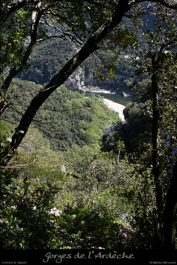 20100427_cornichevalaurie