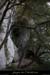 20100404_grottemarguerite_entree03
