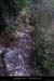 20100404_valaurie_vallonfond_sentier