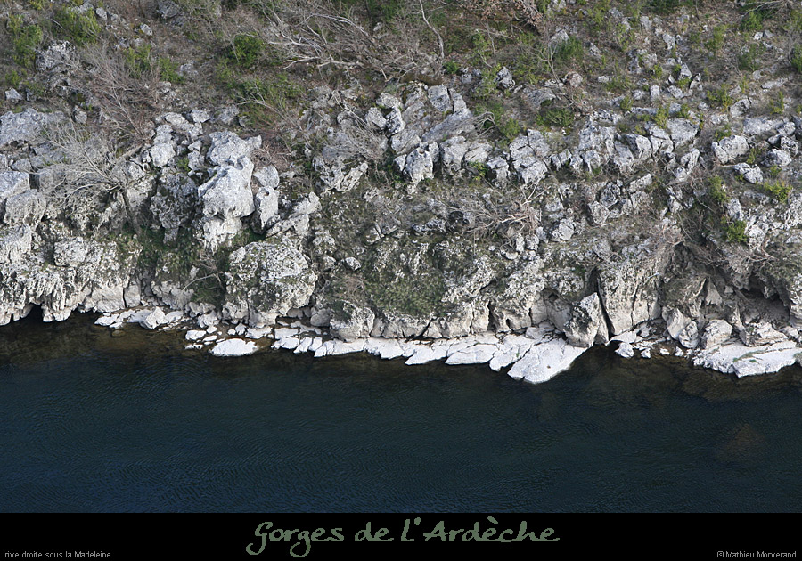 20080324_madeleinerd