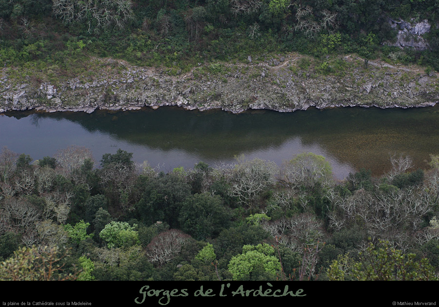20080408_ardechessmadeleine1