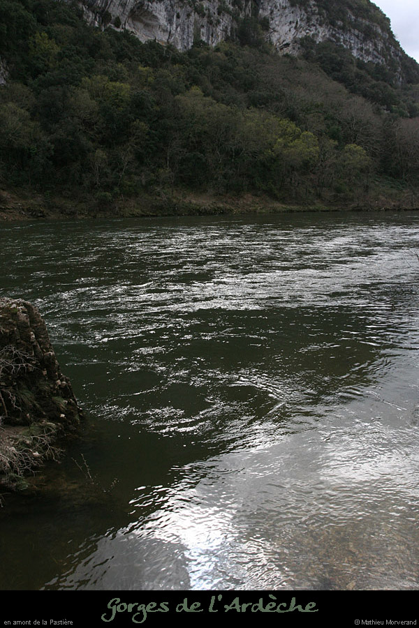 20100328_amvalaurie