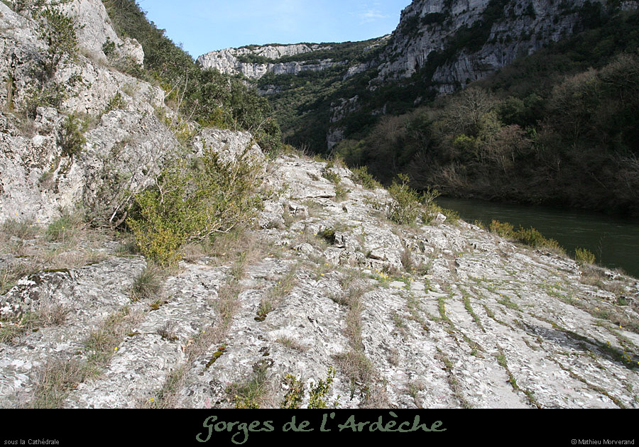 20100328_avcathedrale2