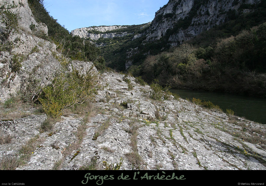 20100328_avcathedrale3