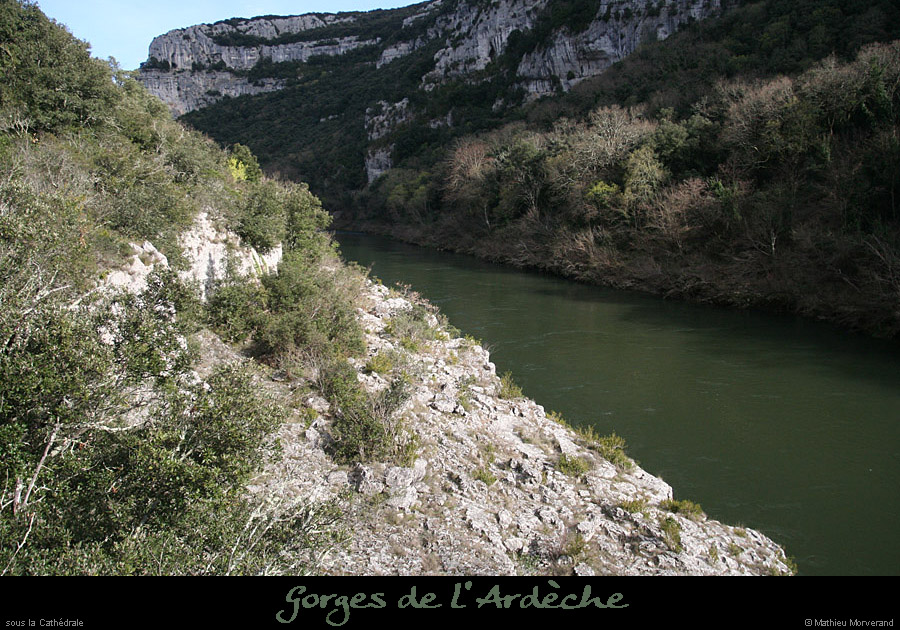 20100328_avcathedrale4
