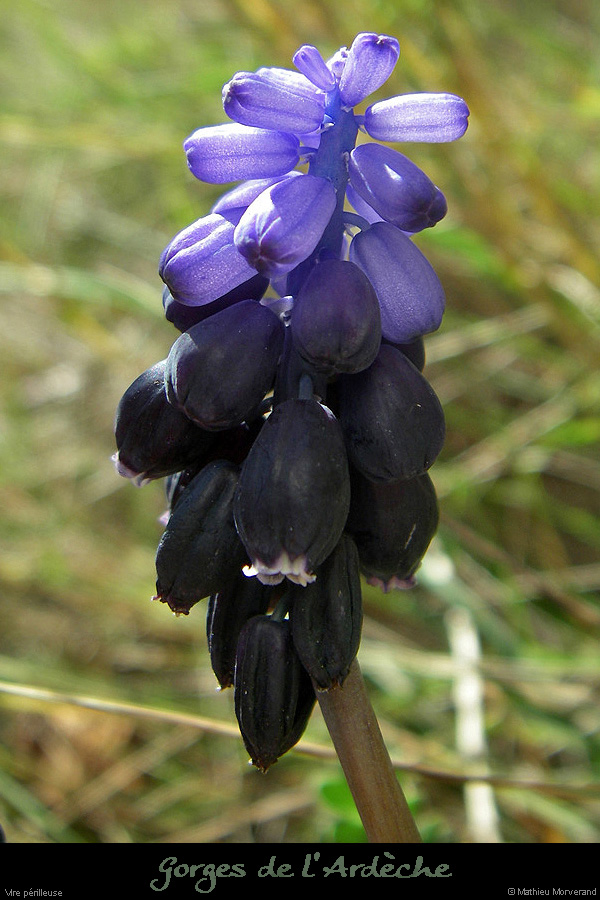 20080207_06