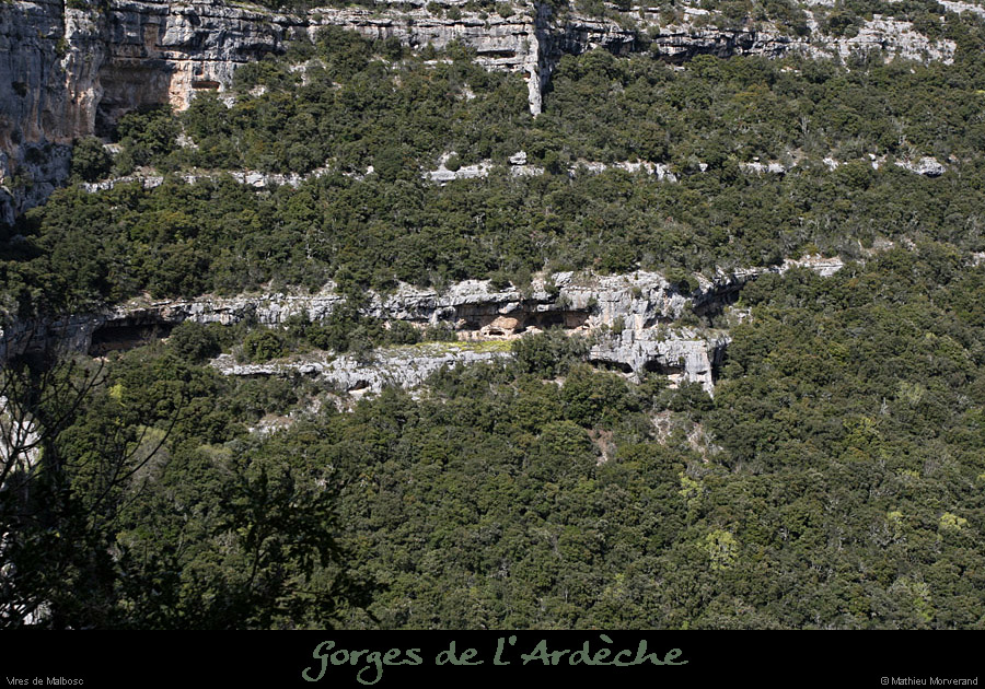 20100404_avcathedralerg