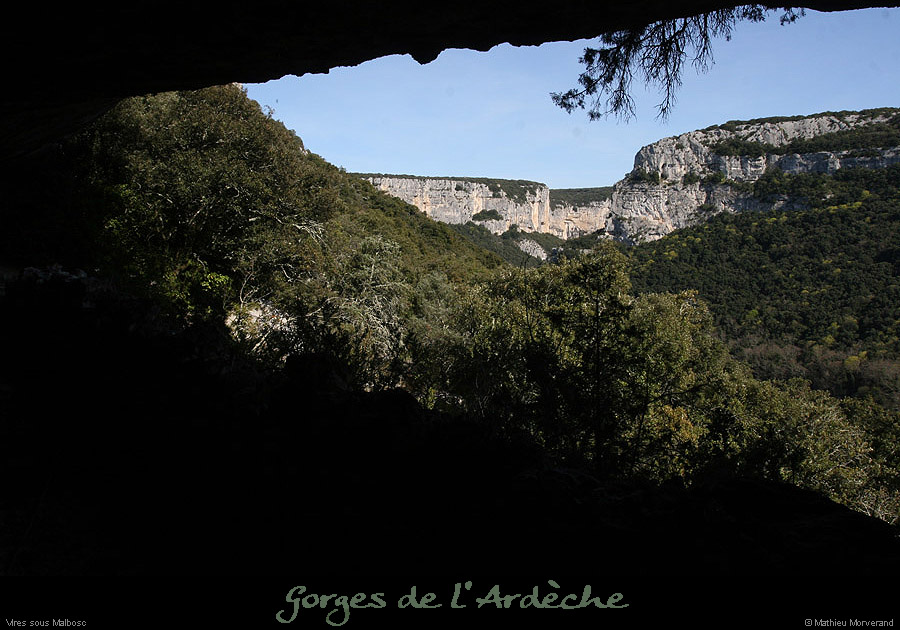 20100405_viresousmalbosc_abrisousrochea01