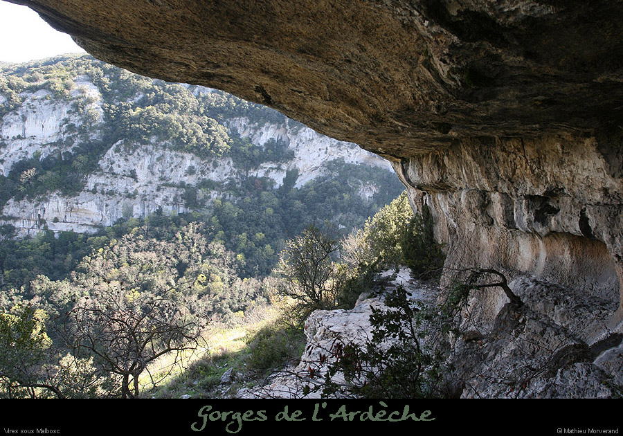 20100405_viresousmalbosc_abrisousrochea02