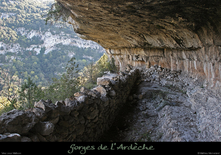 20100405_viresousmalbosc_abrisousrochea03