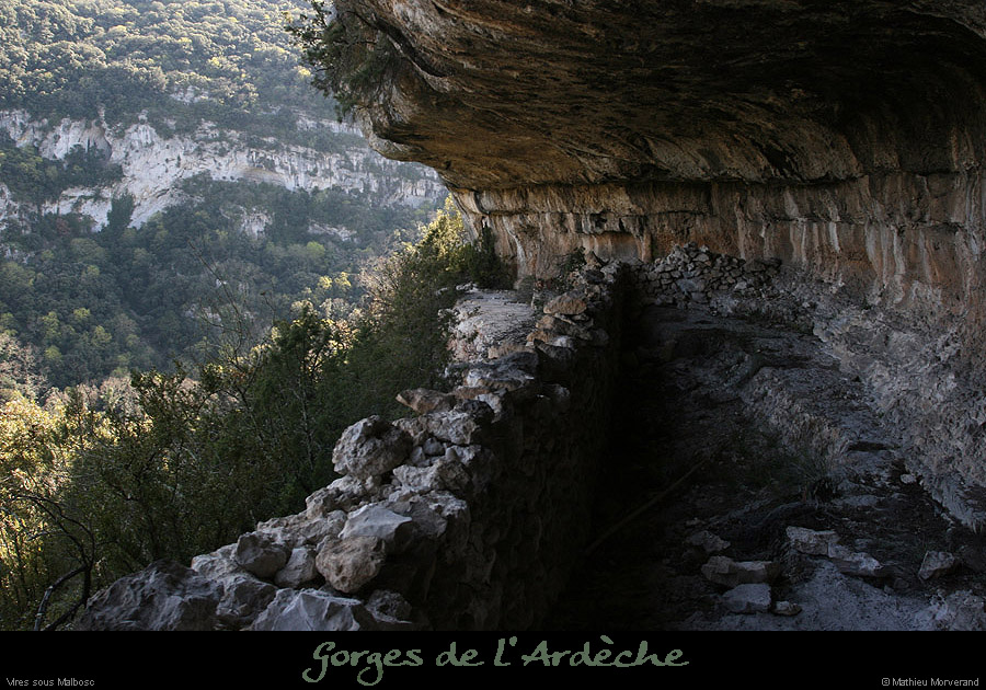 20100405_viresousmalbosc_abrisousrochea05