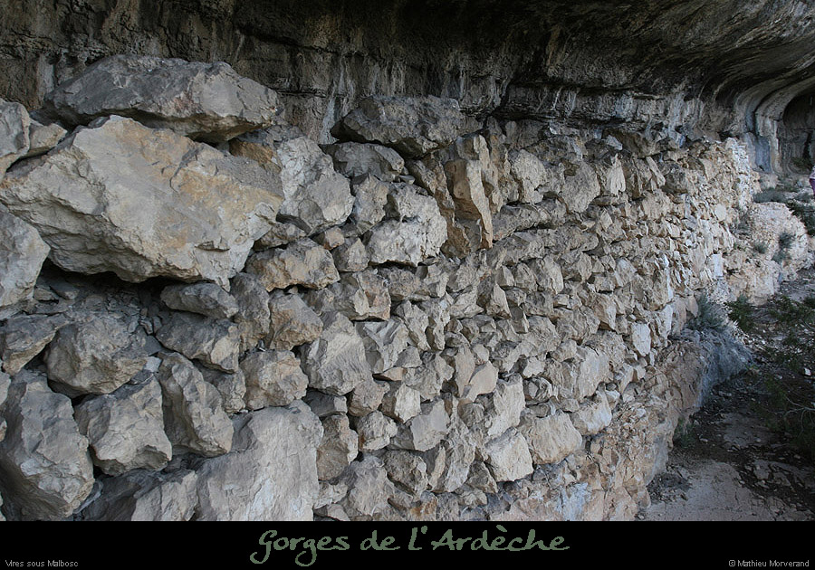 20100405_viresousmalbosc_abrisousrochea06