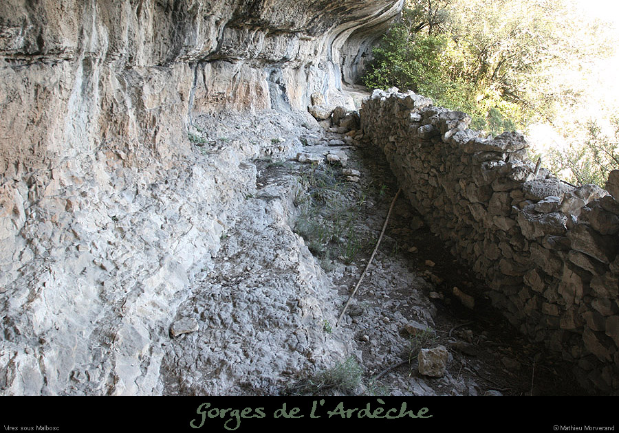 20100405_viresousmalbosc_abrisousrochea09