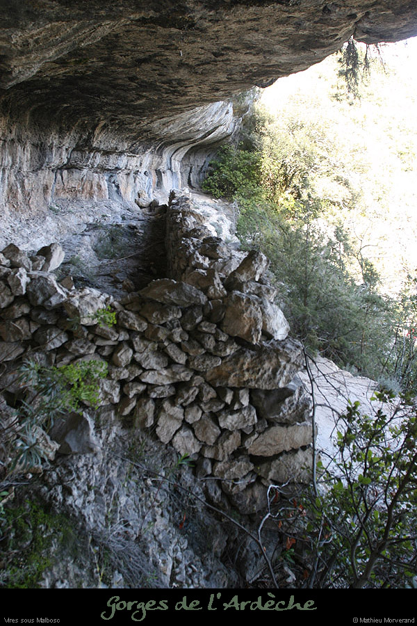 20100405_viresousmalbosc_abrisousrochea10