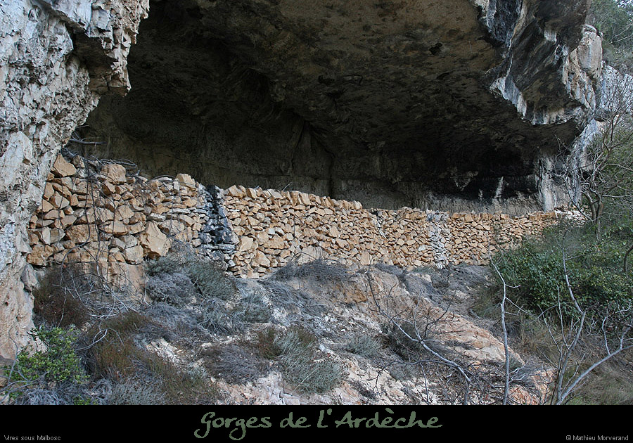 20100405_viresousmalbosc_abrisousrocheb01