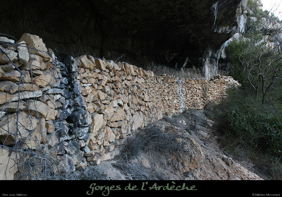 20100405_viresousmalbosc_abrisousrocheb02