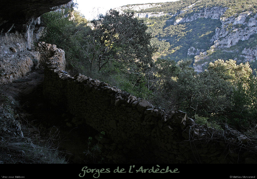 20100405_viresousmalbosc_abrisousrocheb04