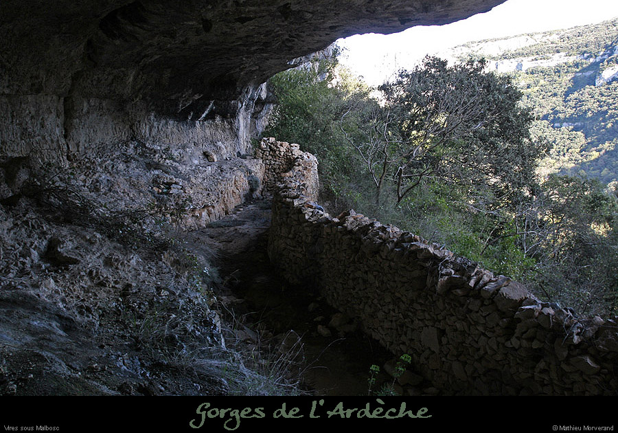 20100405_viresousmalbosc_abrisousrocheb06