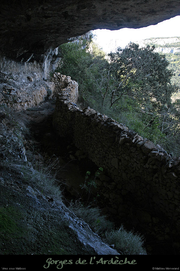 20100405_viresousmalbosc_abrisousrocheb07