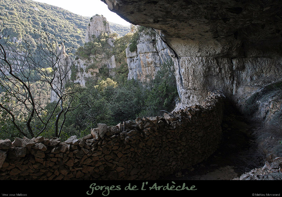 20100405_viresousmalbosc_abrisousrocheb08
