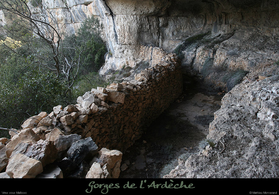 20100405_viresousmalbosc_abrisousrocheb09