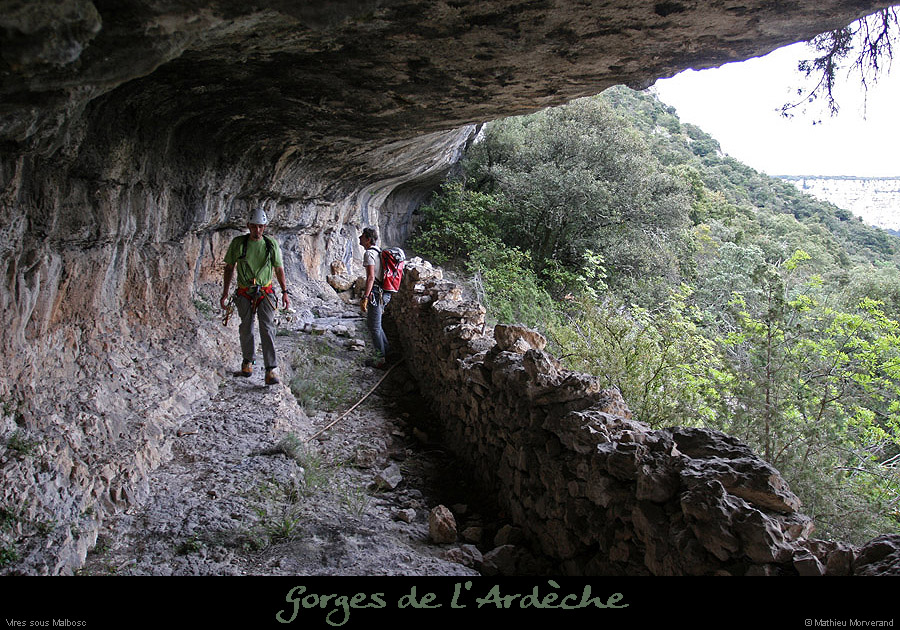 20100424_viresssmalbosca_baume3