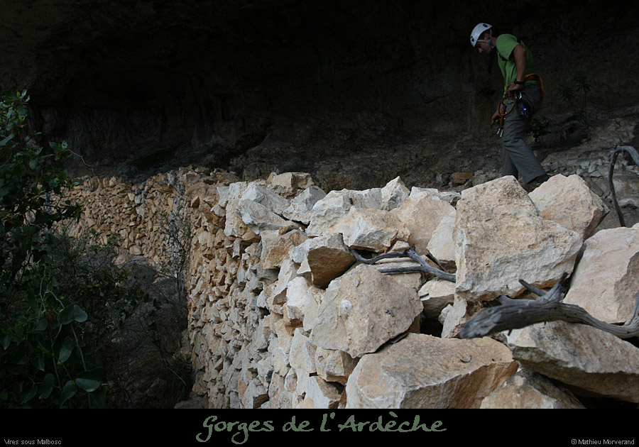 20100424_viresssmalboscb_baume1