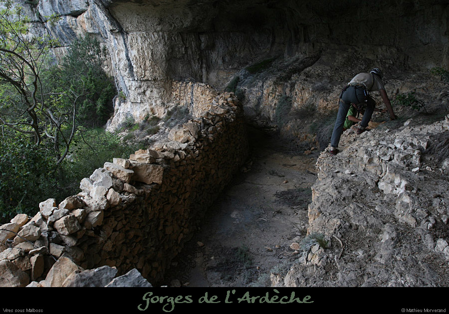 20100424_viresssmalboscb_baume2