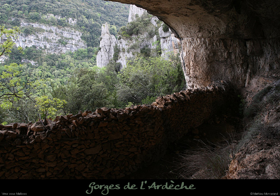 20100424_viresssmalboscb_baume3
