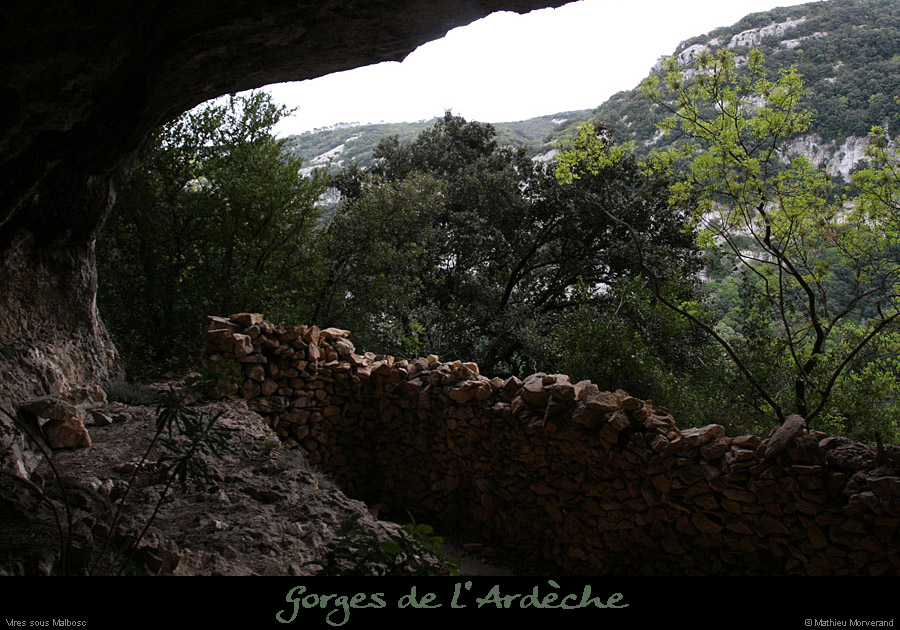 20100424_viresssmalboscb_baume4