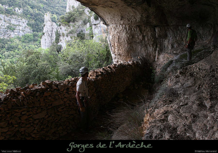 20100424_viresssmalboscb_baume5
