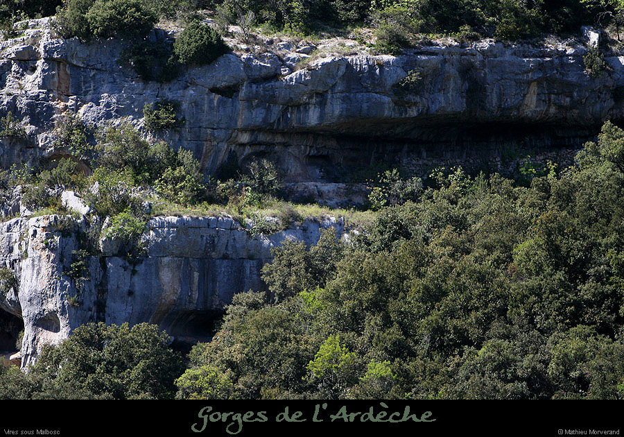 20100427_viresmalboscdeviresvalaurie2