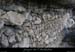 20100405_viresousmalbosc_abrisousrochea06