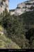 20100405_viressmalbosc2