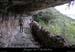 20100424_viresssmalbosca_baume3