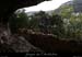 20100424_viresssmalboscb_baume4