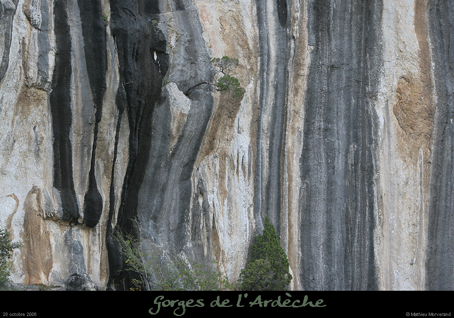 20061028_cirquemadeleine2