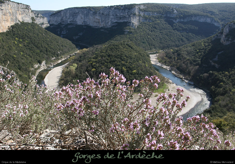 20080329_cirquemadeleine03