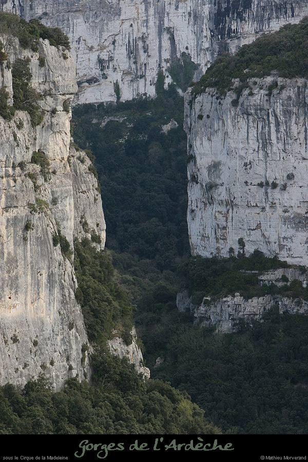 20100327_avcirquemadeleine7