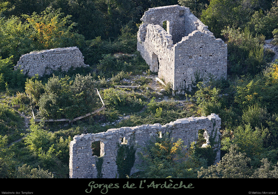 20081004_maladrerietempliers4