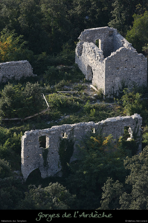 20081004_maladrerietempliers5