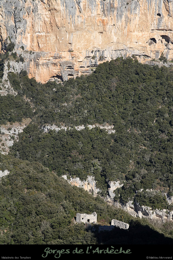 20110205_maladrerie_deptevalaurie2