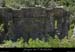 20090804_maladrerie09