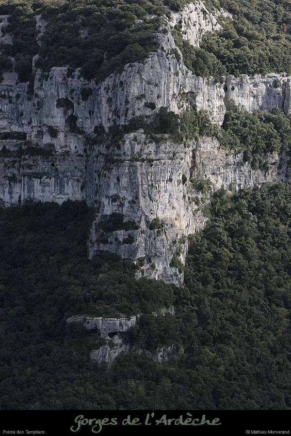 20100327_ptetempliers1