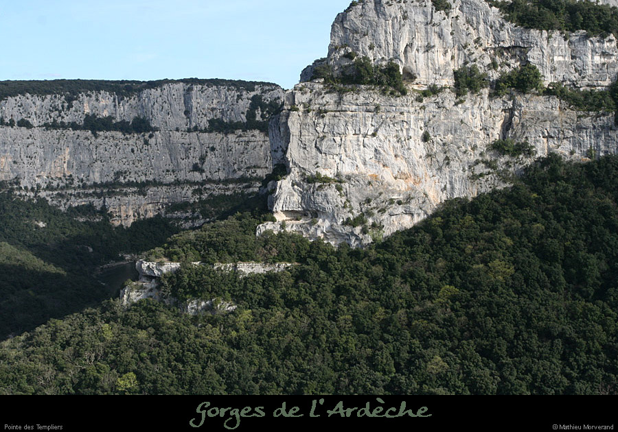 20100328_ptetempliers2
