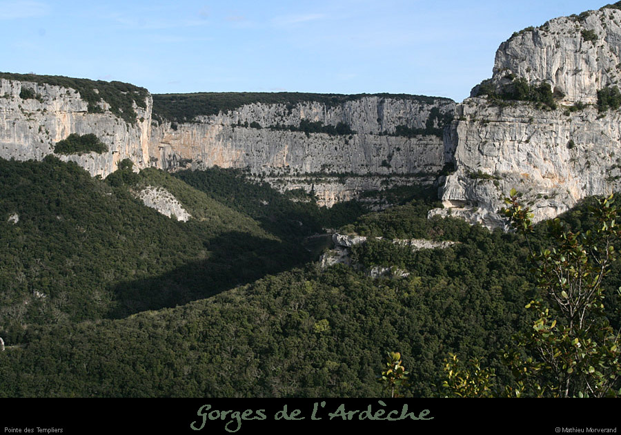 20100328_ptetempliers3