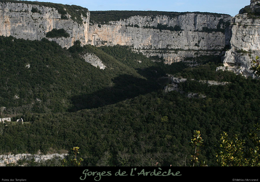 20100328_ptetempliers4