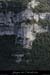 20100327_ptetempliers1