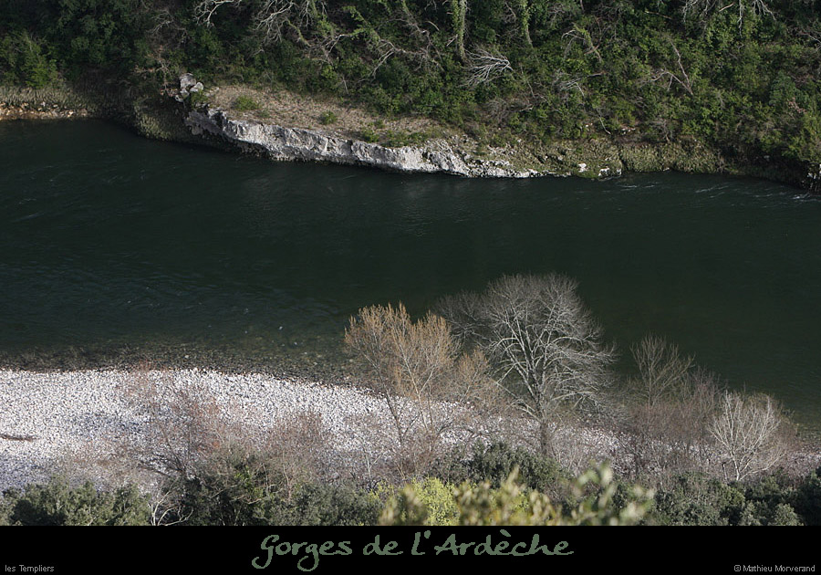20100328_plagetempliers
