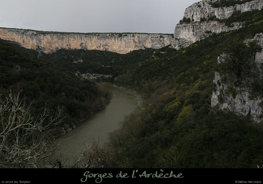 20100404_templiersdelunettevalaurie01